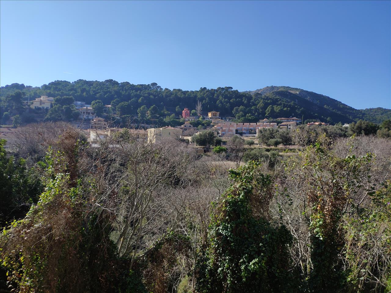 undefined - Image 13
