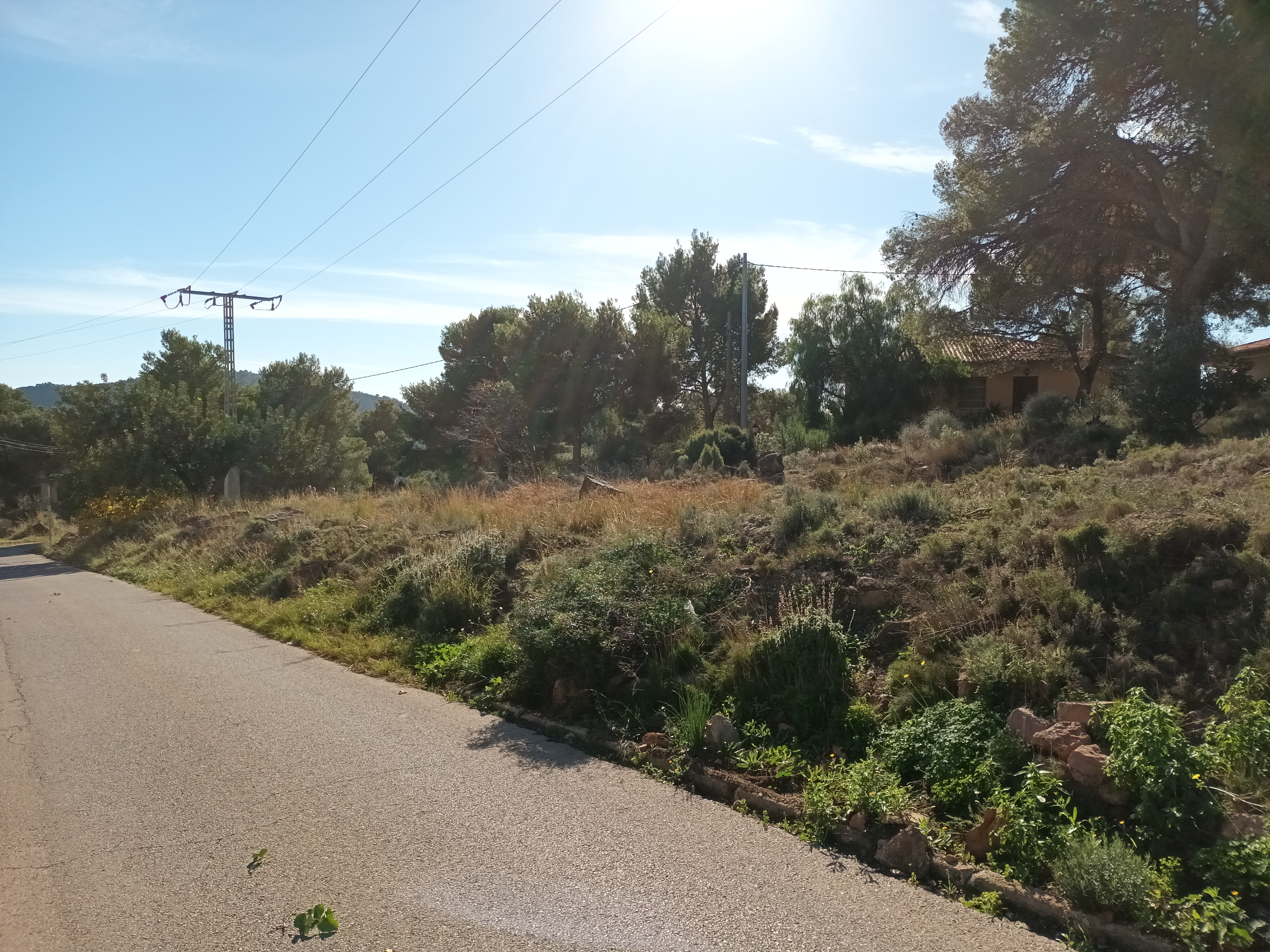 Terreno à Venda em Serra, València - Oportunidade Única! - Image 3
