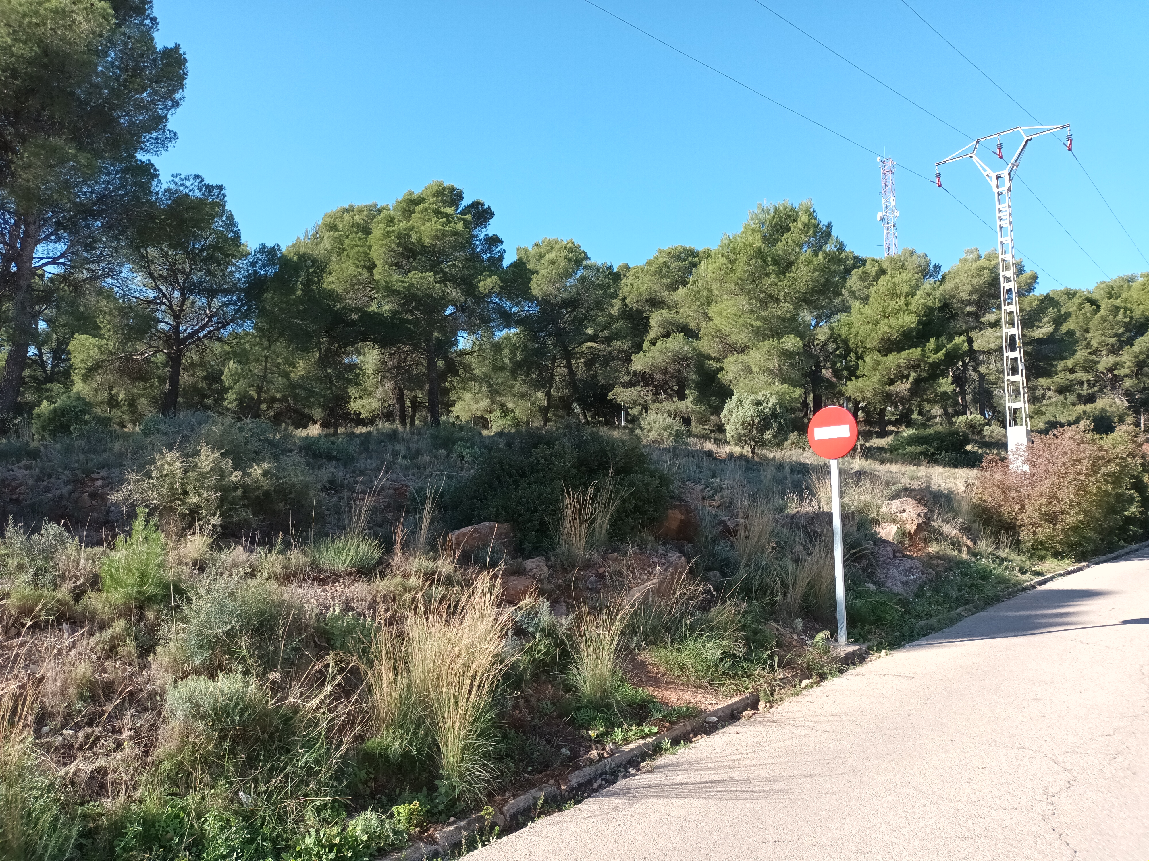 Terreno à Venda em Serra, València - Oportunidade Única! - Image 2