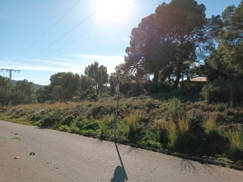 undefined - Image 3