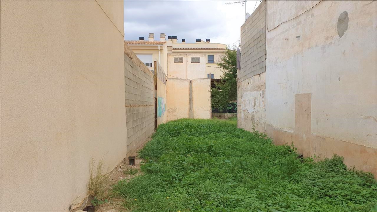 Image4
