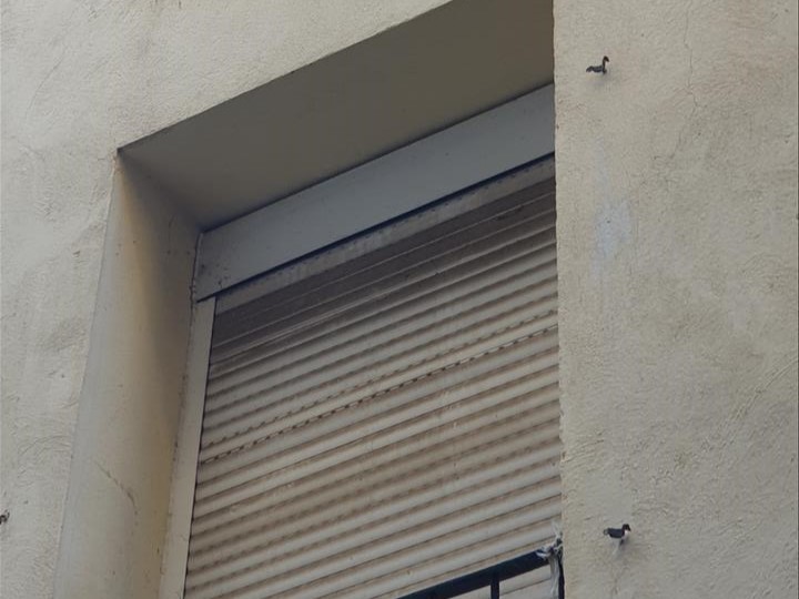 undefined - Image 11