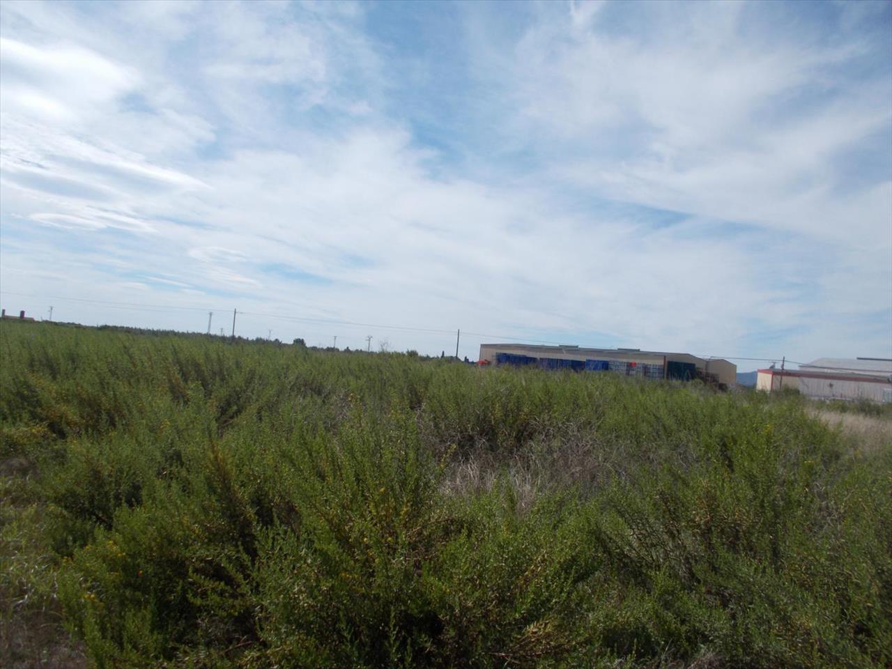 Image2