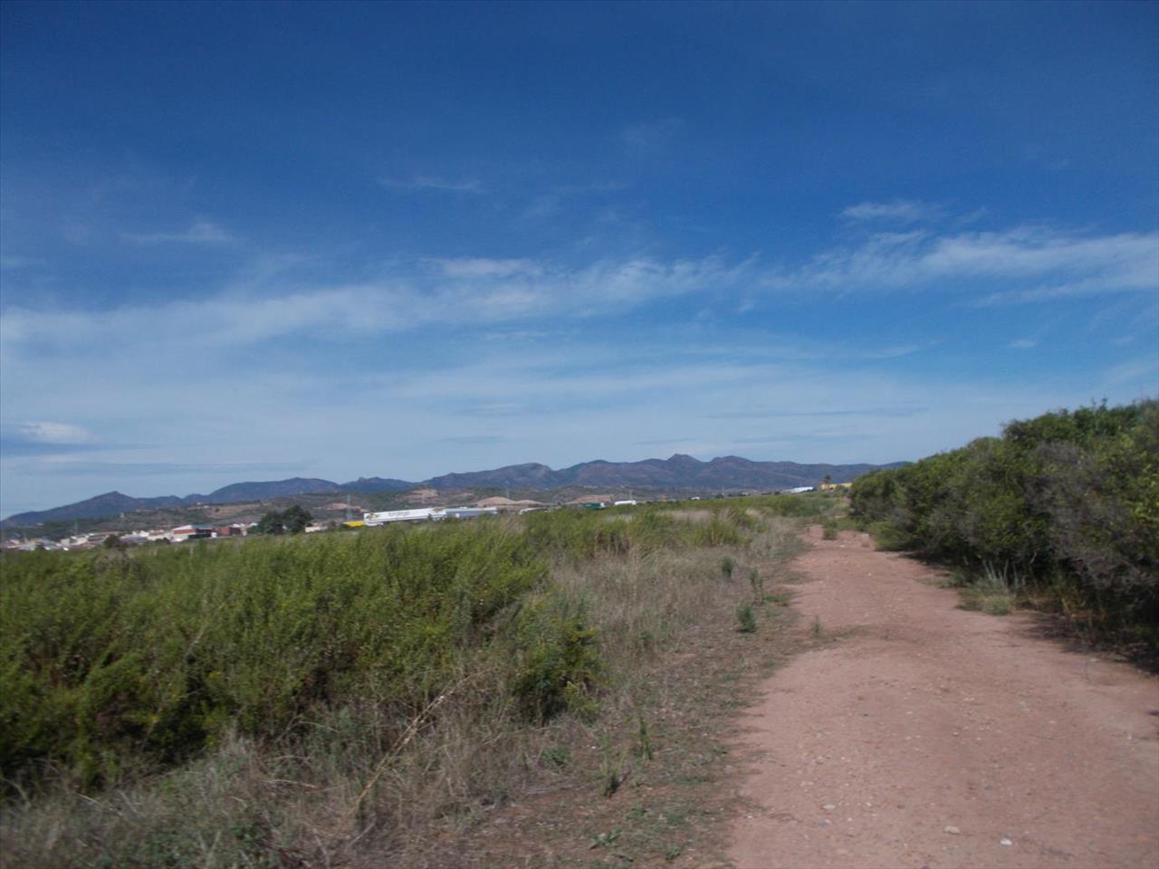 Image3