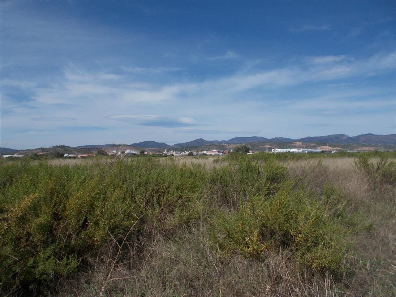 Image4