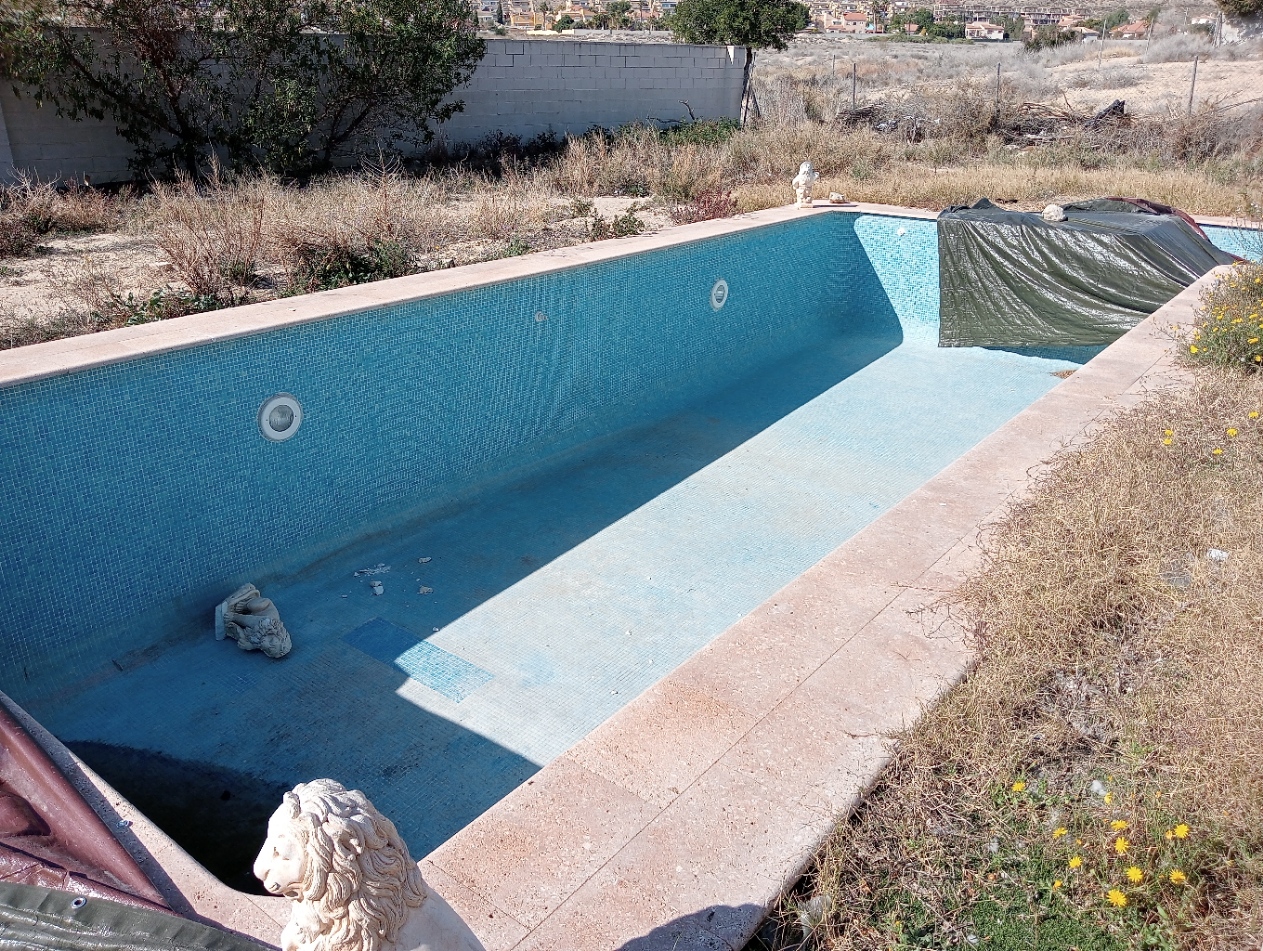 - Image 11