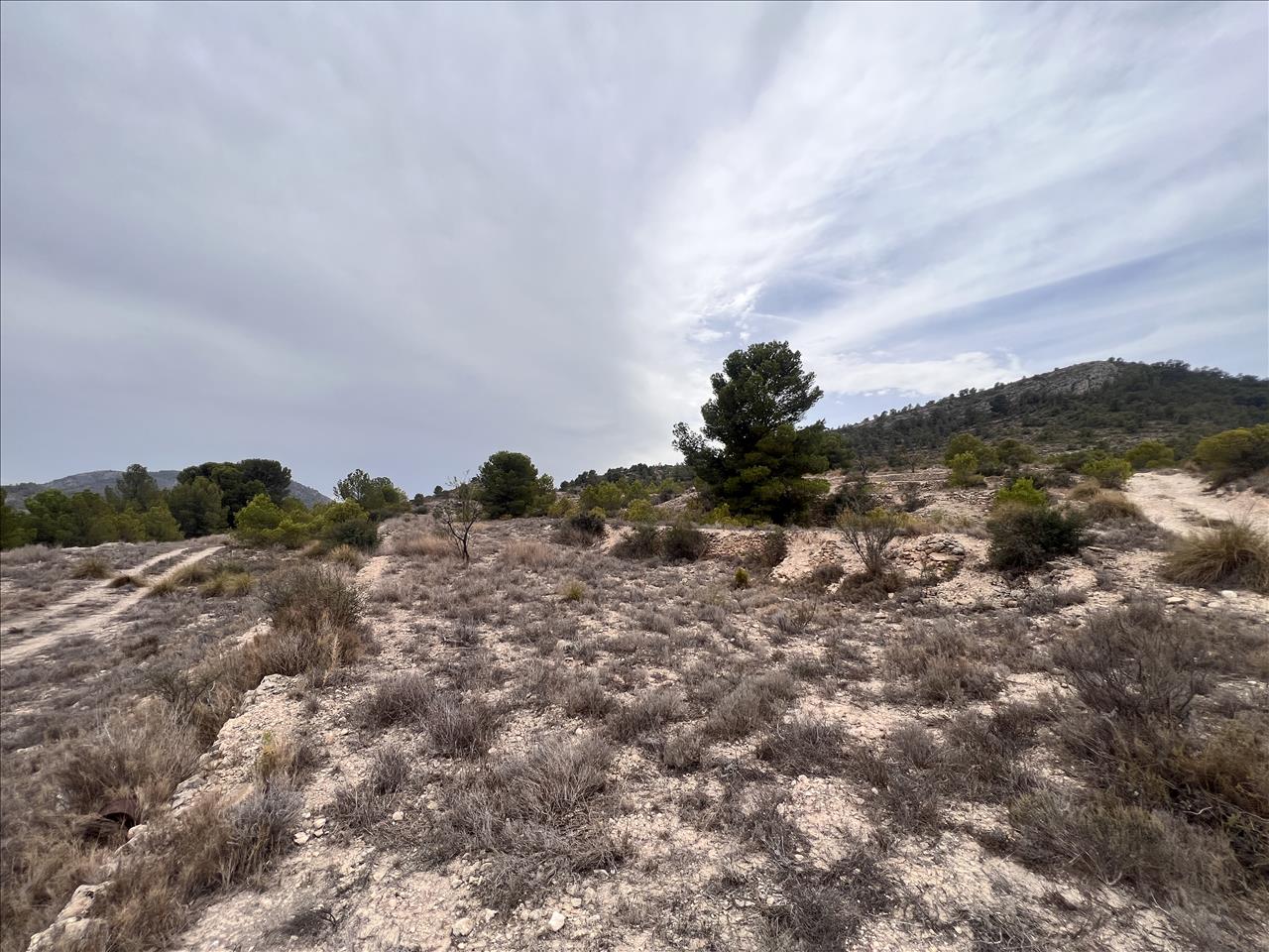 Terreno Rústico em Monóvar, Alicante - Oportunidade Única! - Image 16