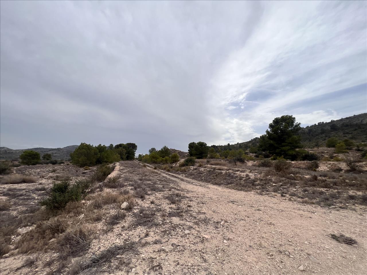 Terreno Rústico em Monóvar, Alicante - Oportunidade Única! - Image 17