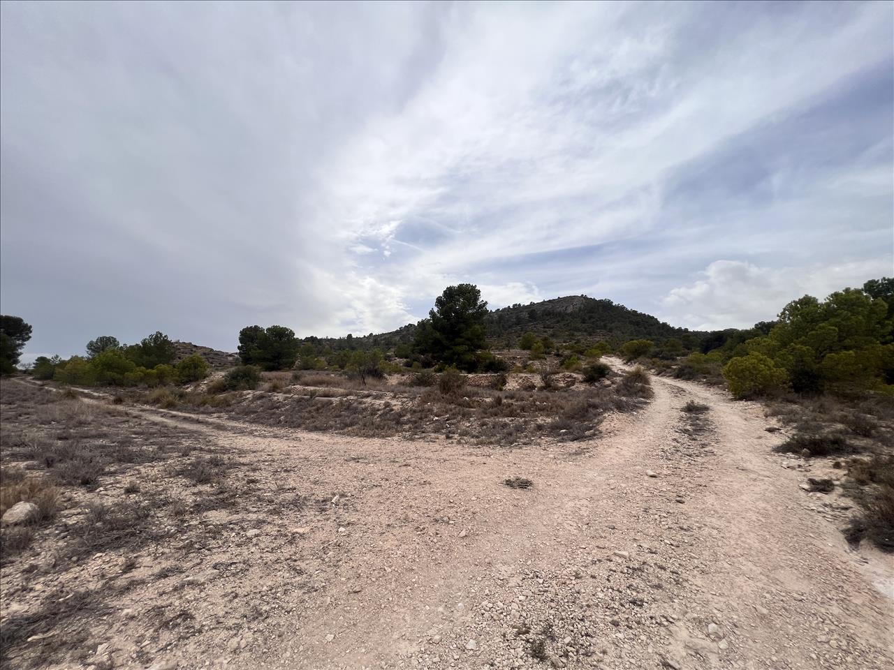 Terreno Rústico em Monóvar, Alicante - Oportunidade Única! - Image 18