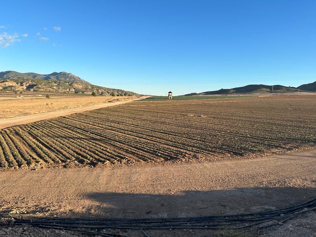 Piso en Jumilla