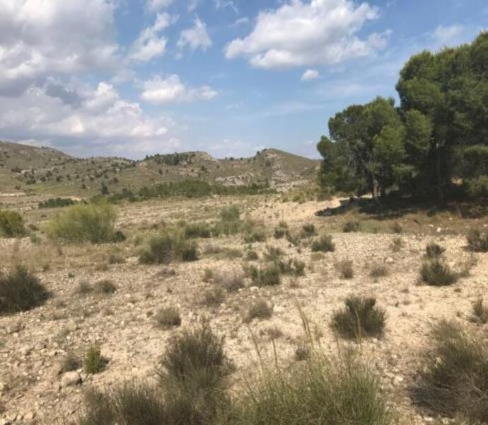 Finca rústica en Benis