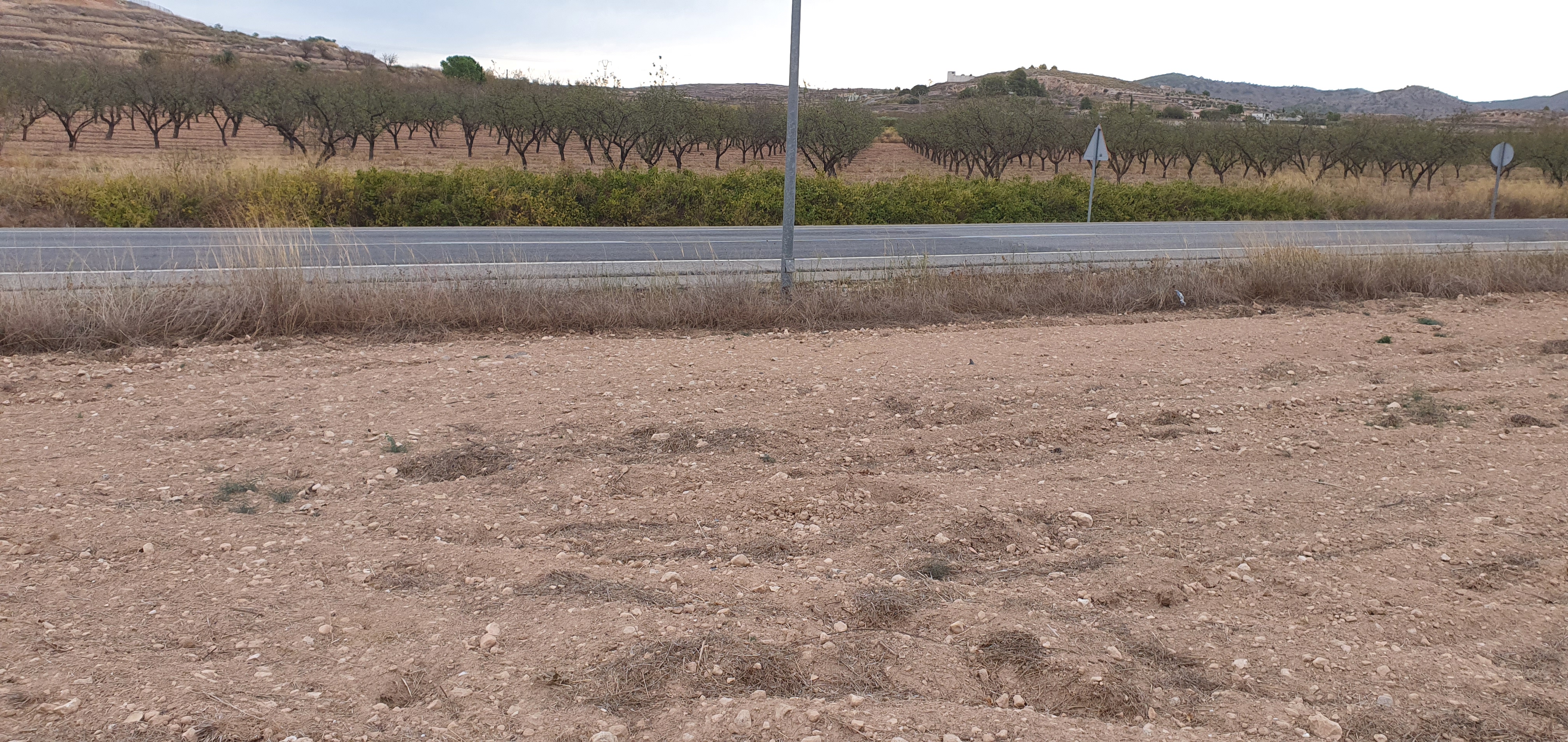 Finca rústica en Proc. Simplificado