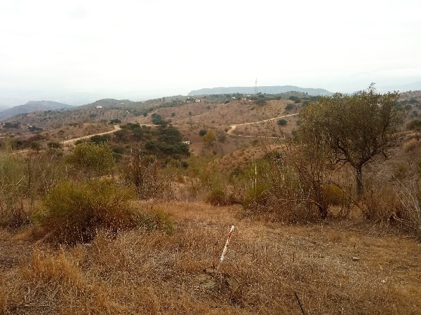 Suelo urbano residencial en 3. Parcela