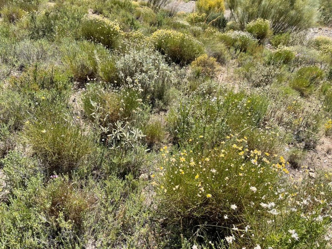  - Image 6