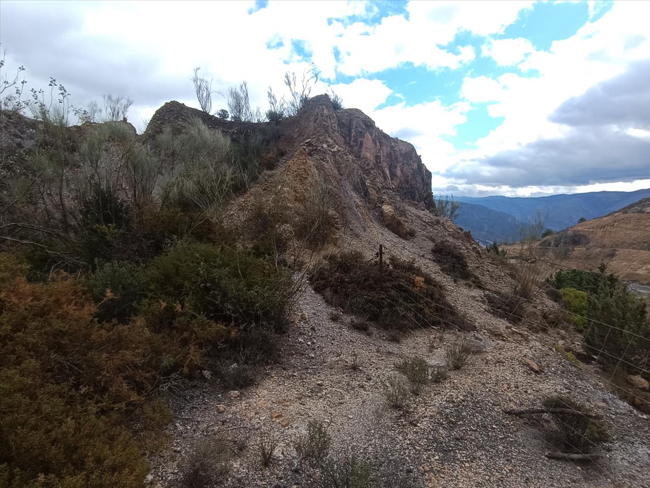  - Image 11