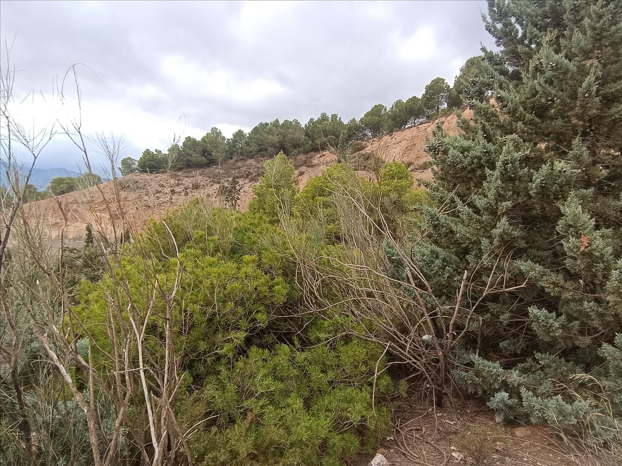  - Image 3