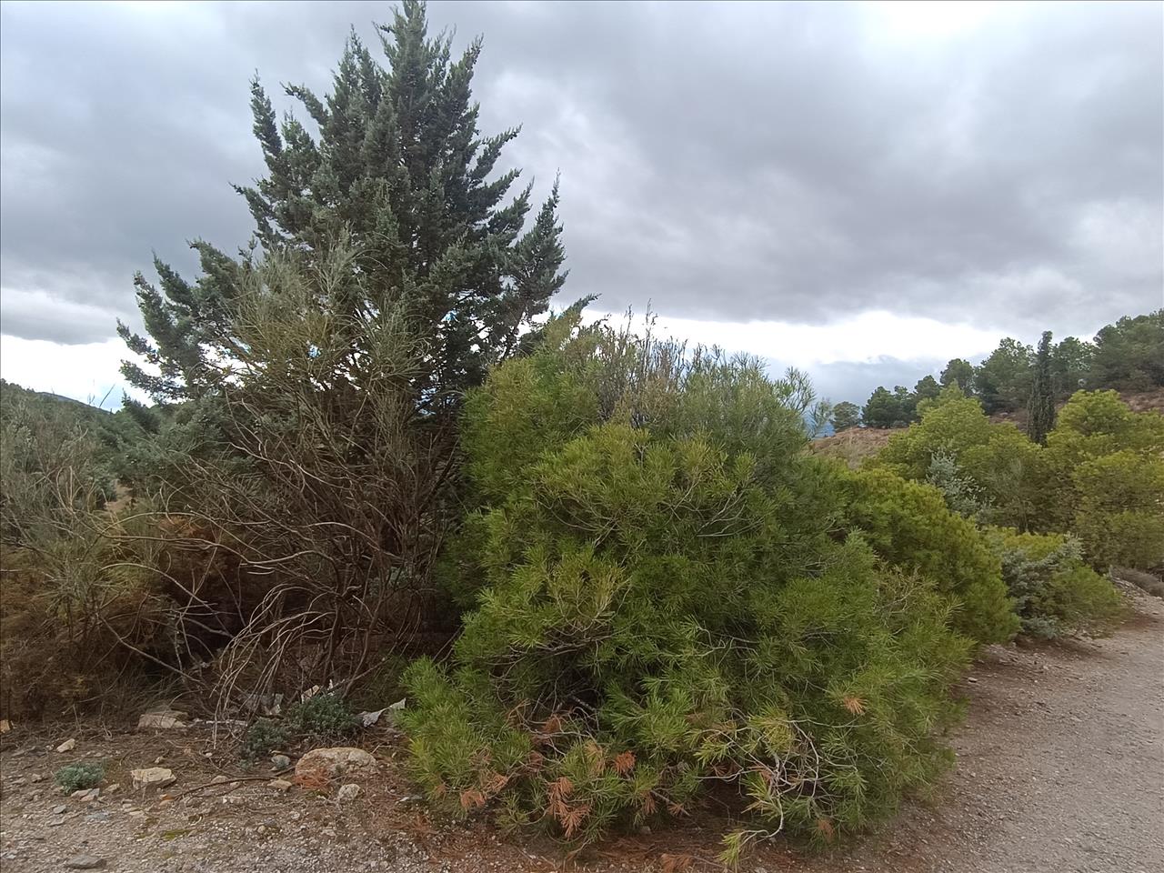  - Image 6