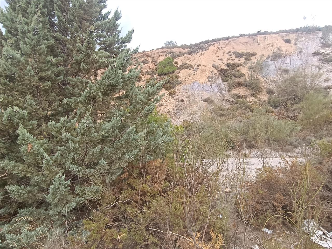  - Image 7