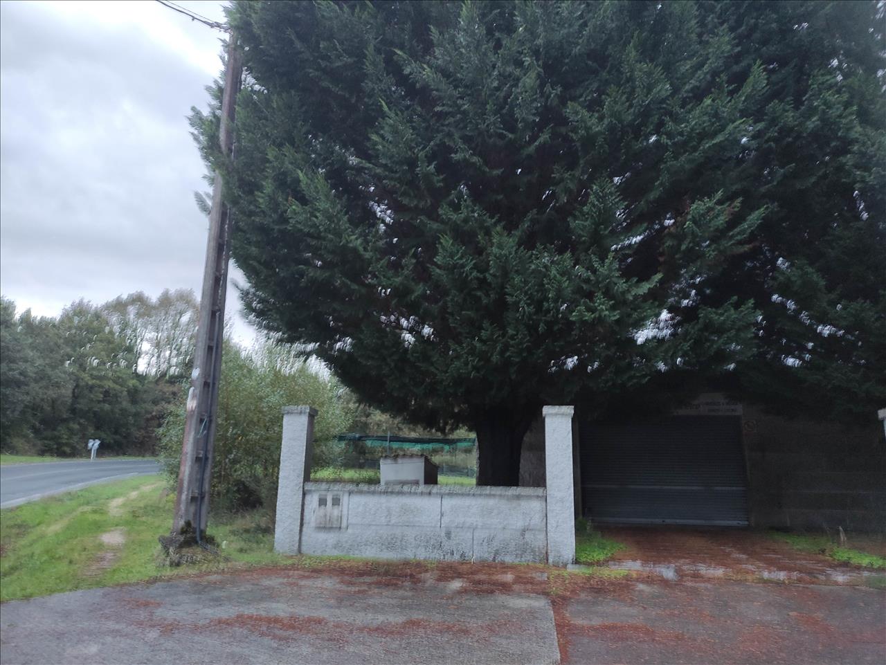 Premises_Commercial en San Cristovo de Cea, Ourense