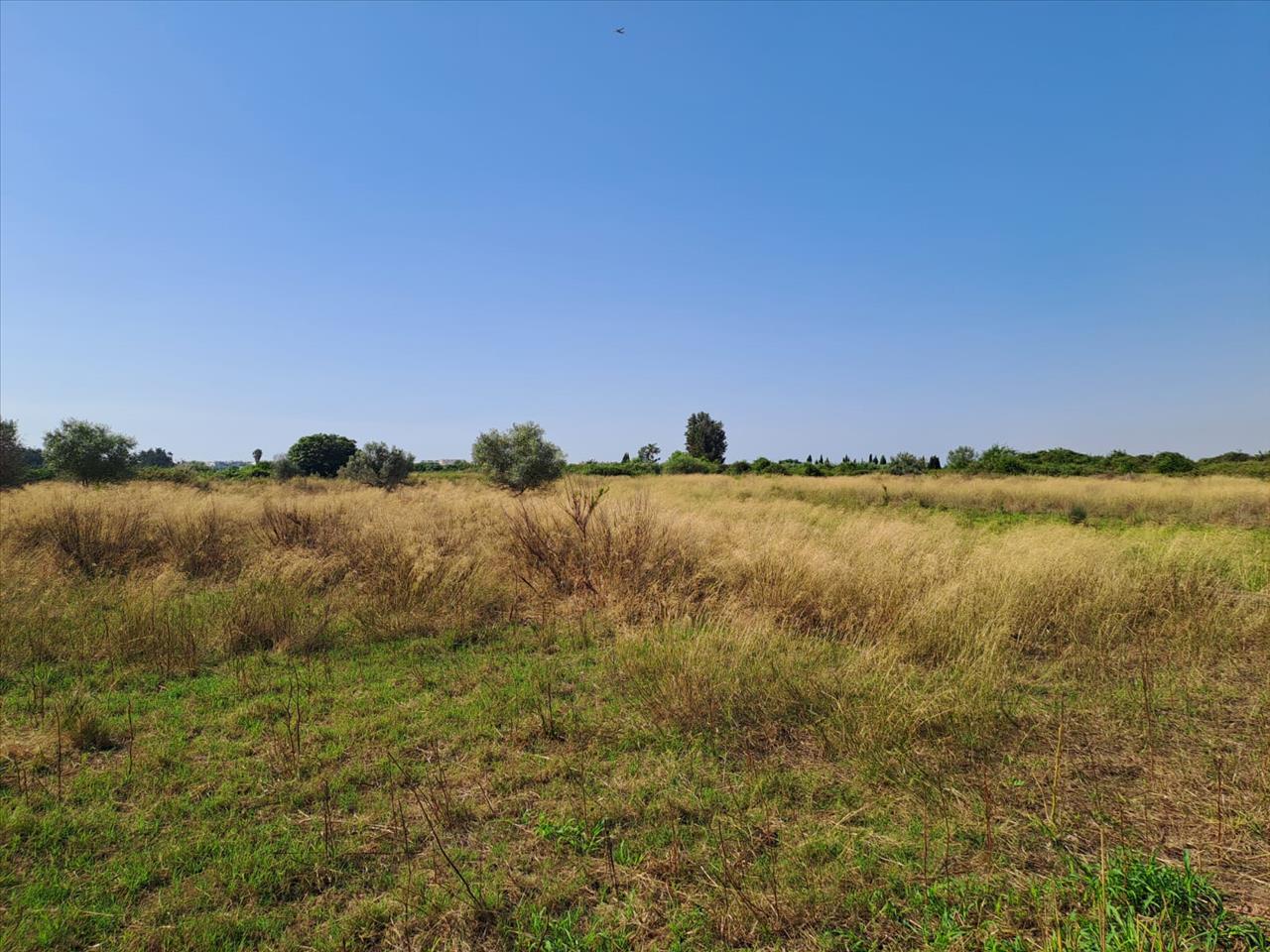 Suelo en Chilches/Xilxes, Castellón/Castelló