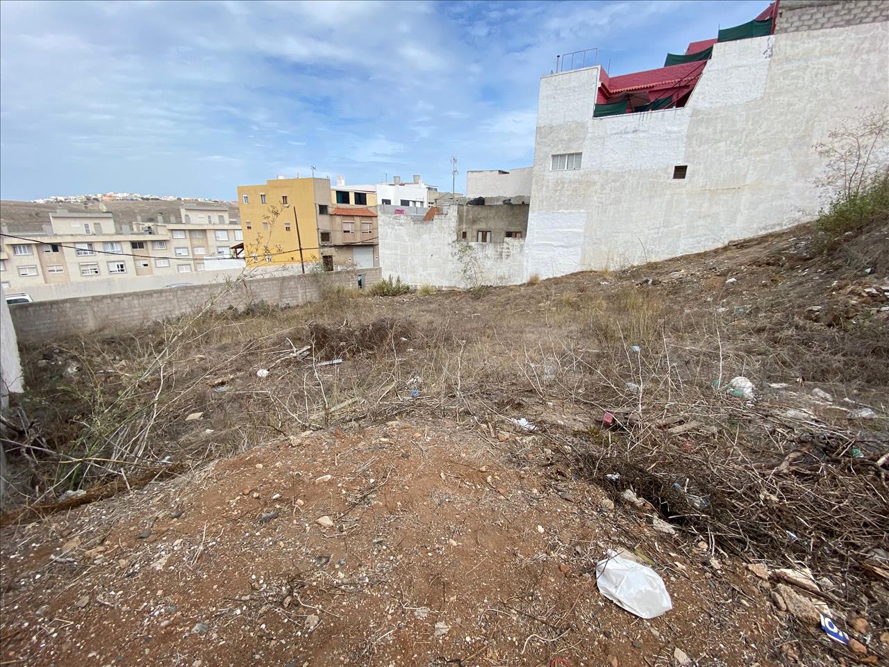 Image4