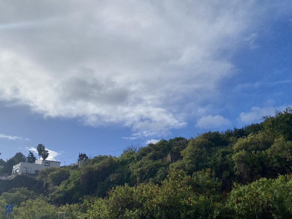 undefined - Image 8