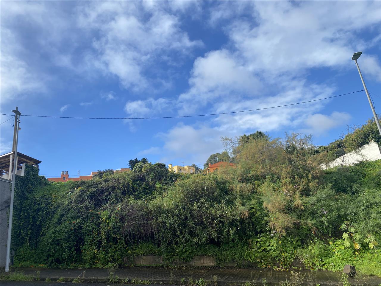 undefined - Image 9