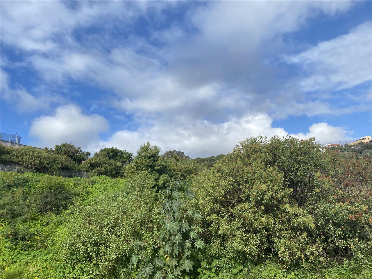 undefined - Image 11