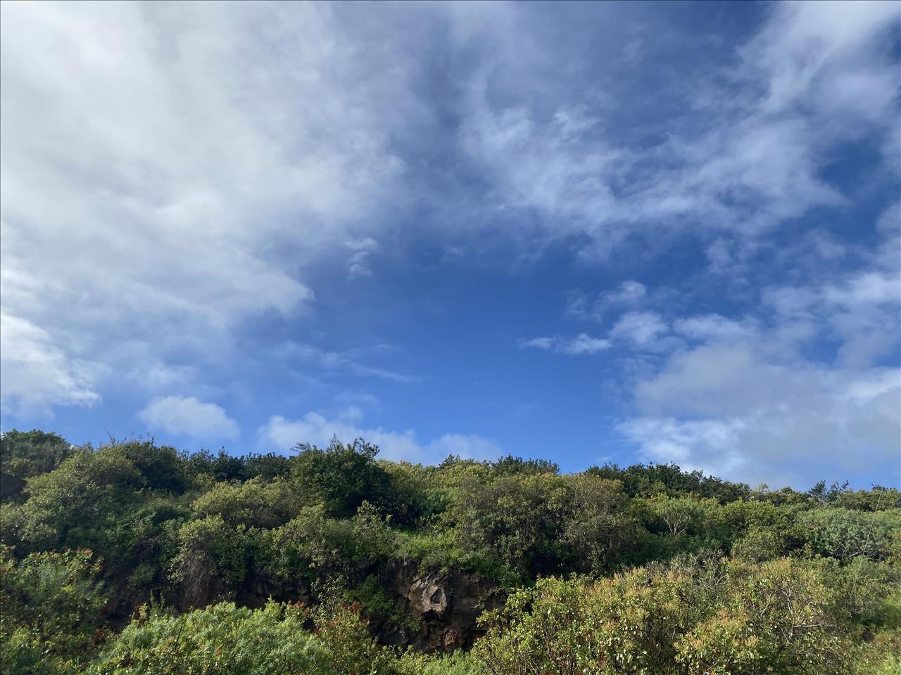 undefined - Image 12