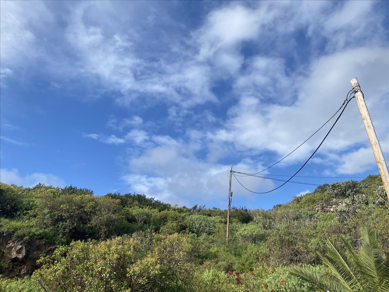undefined - Image 13