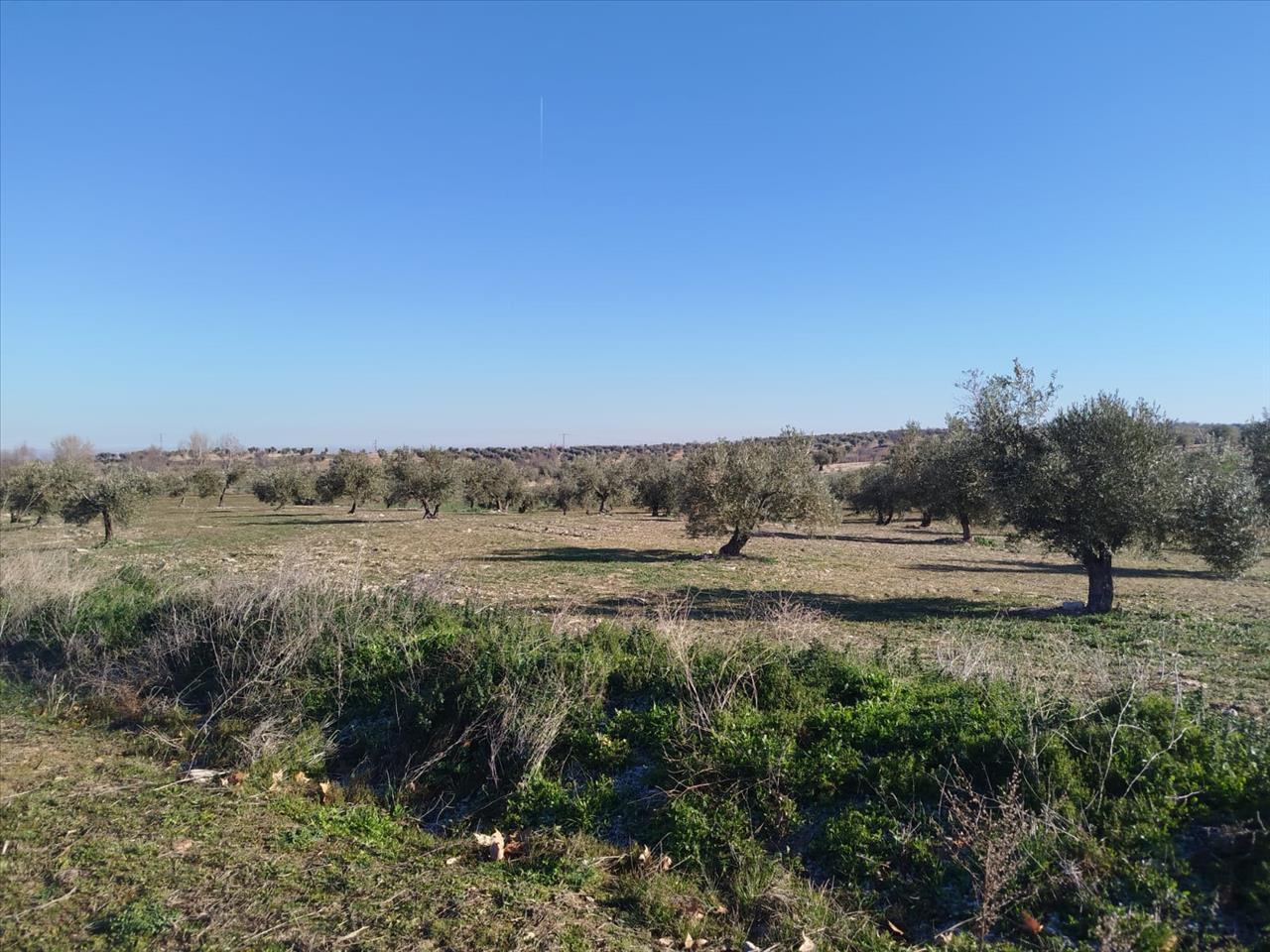 Suelo en Burguillos de Toledo, Toledo