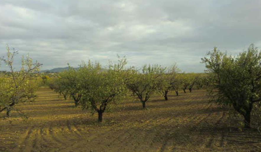 Suelo en Burguillos de Toledo, Toledo
