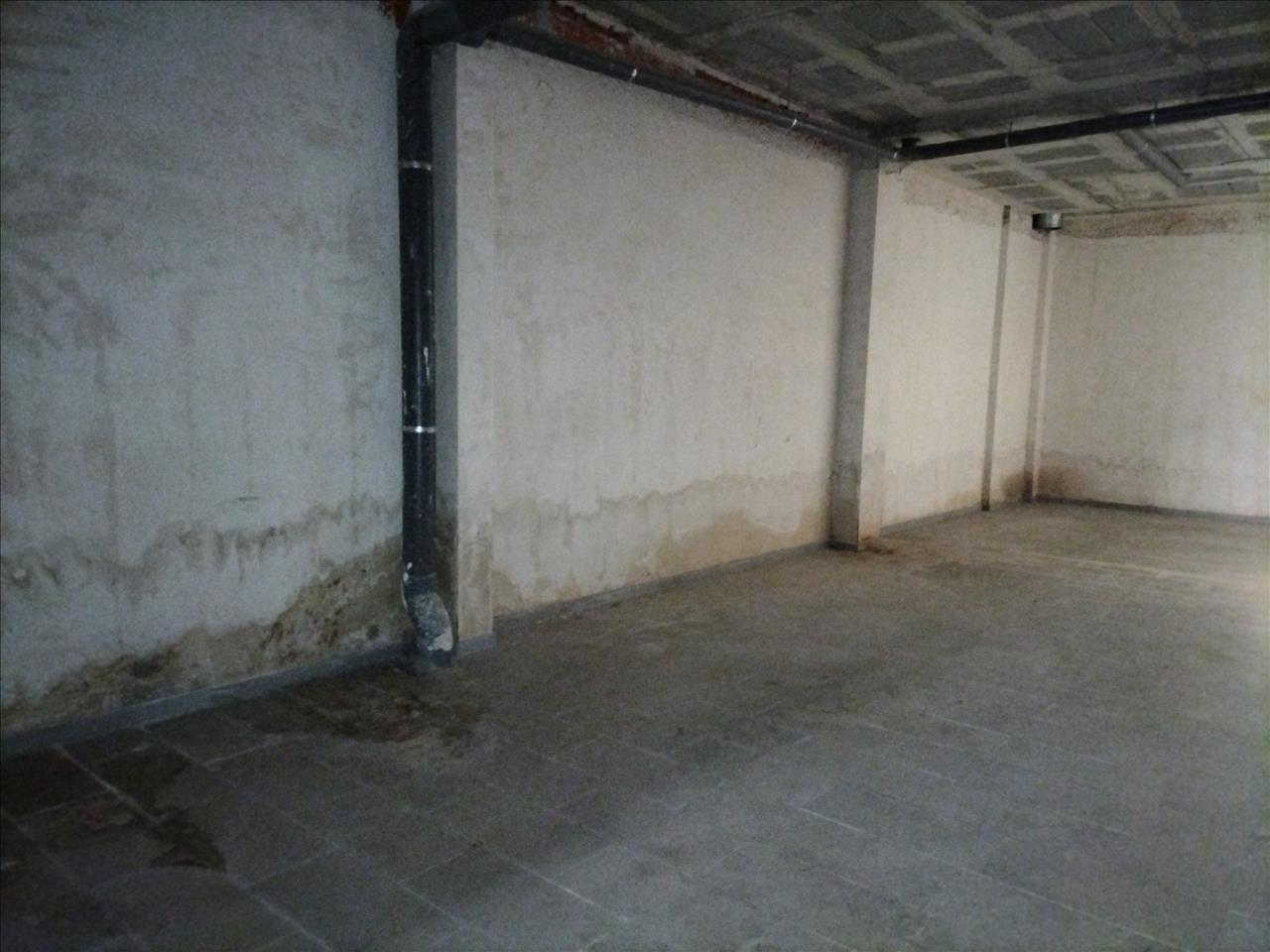 - Image 6