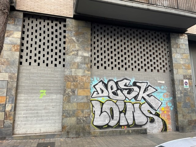 - Image 11