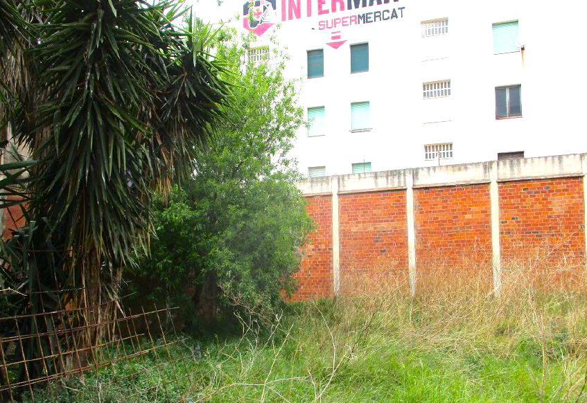 undefined - Image 8
