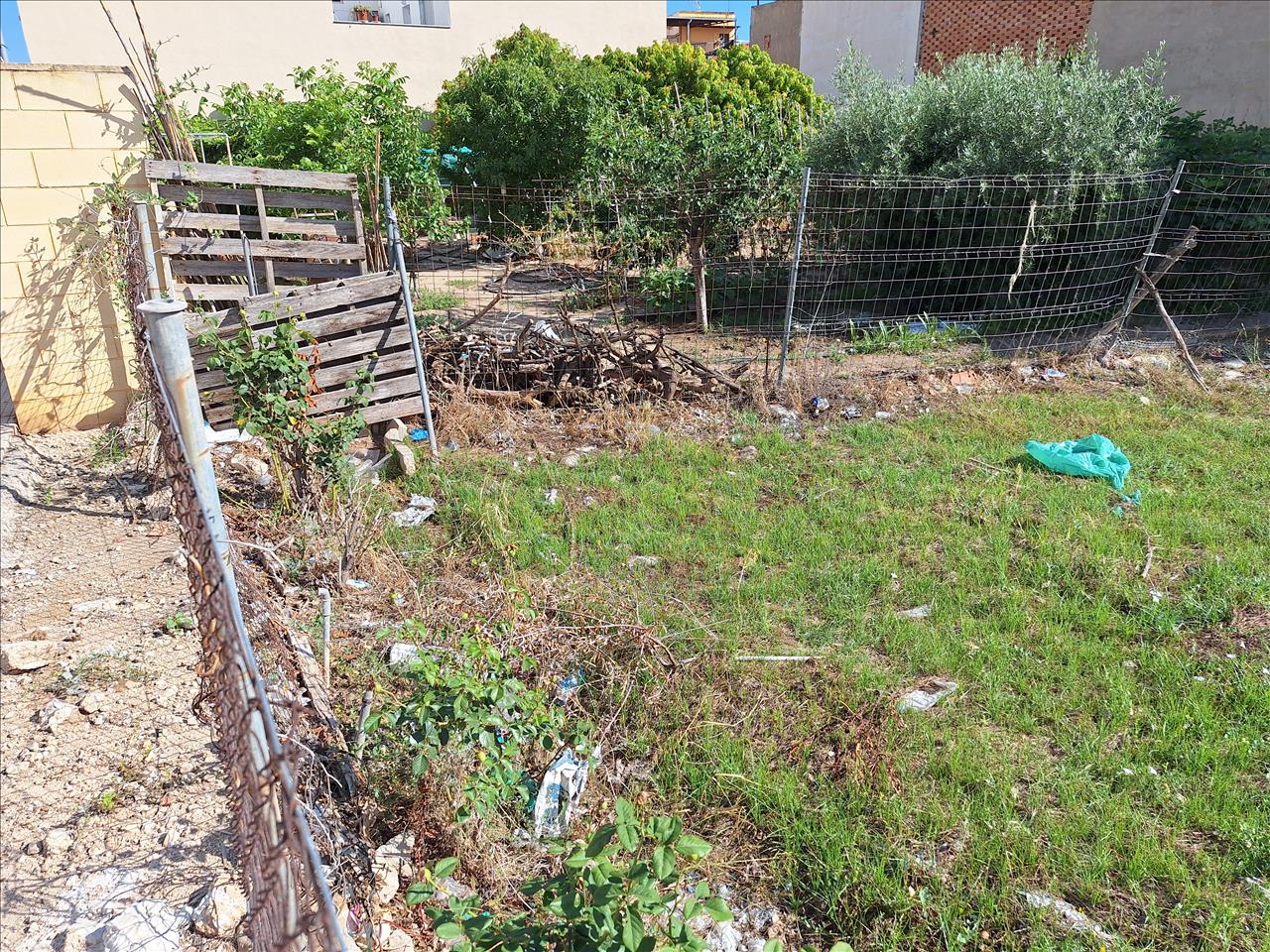 undefined - Image 5