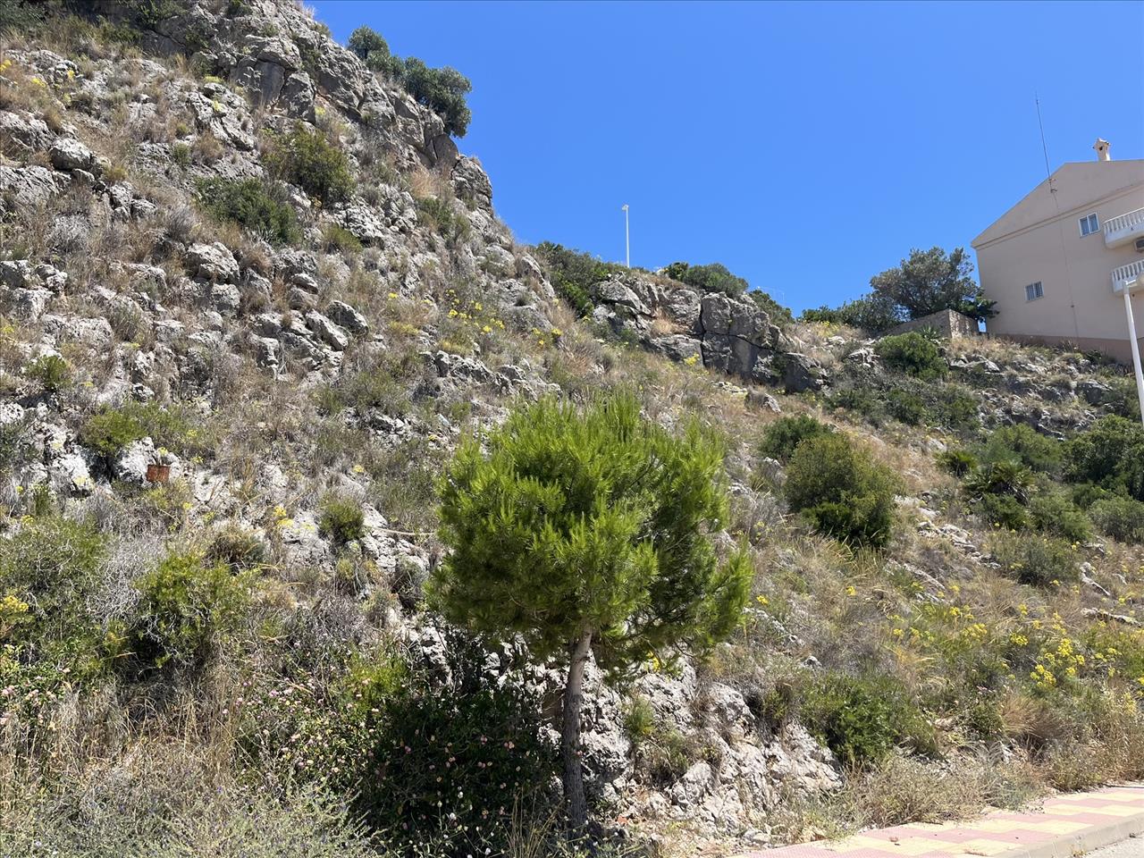 - Image 12