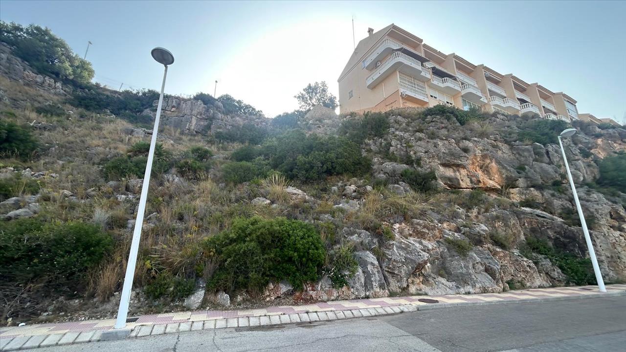 - Image 7