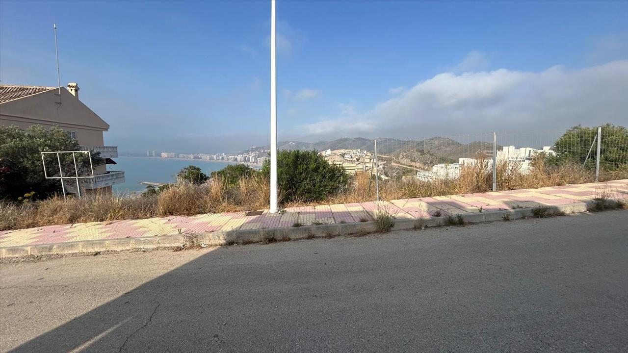 - Image 5