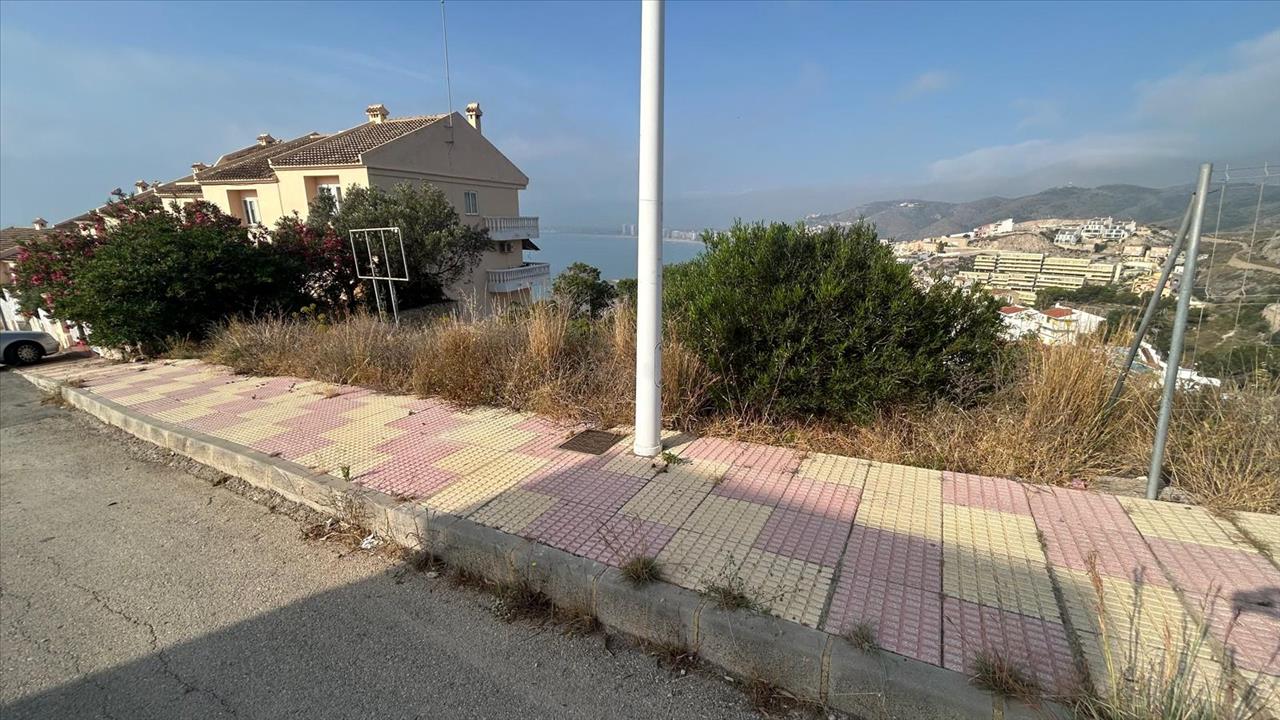 - Image 6
