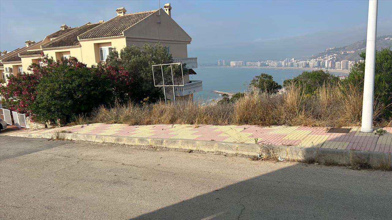 - Image 8