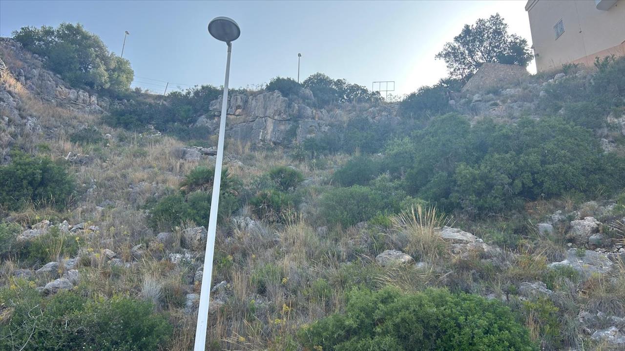 - Image 10
