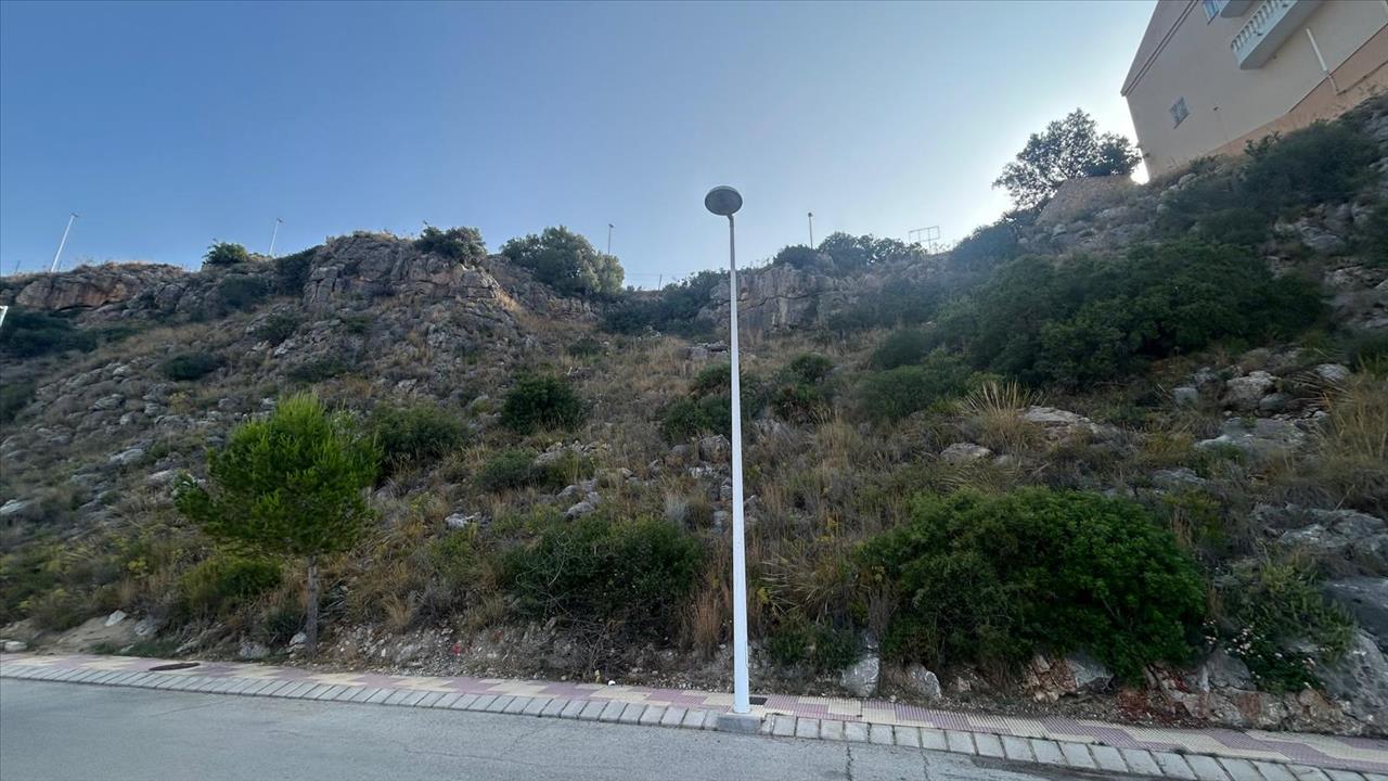 - Image 11