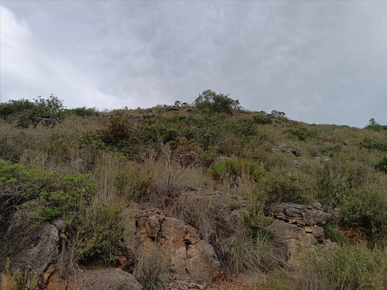 Terreno localizado na localidade de Ràfol d'Almúnia - Image 3