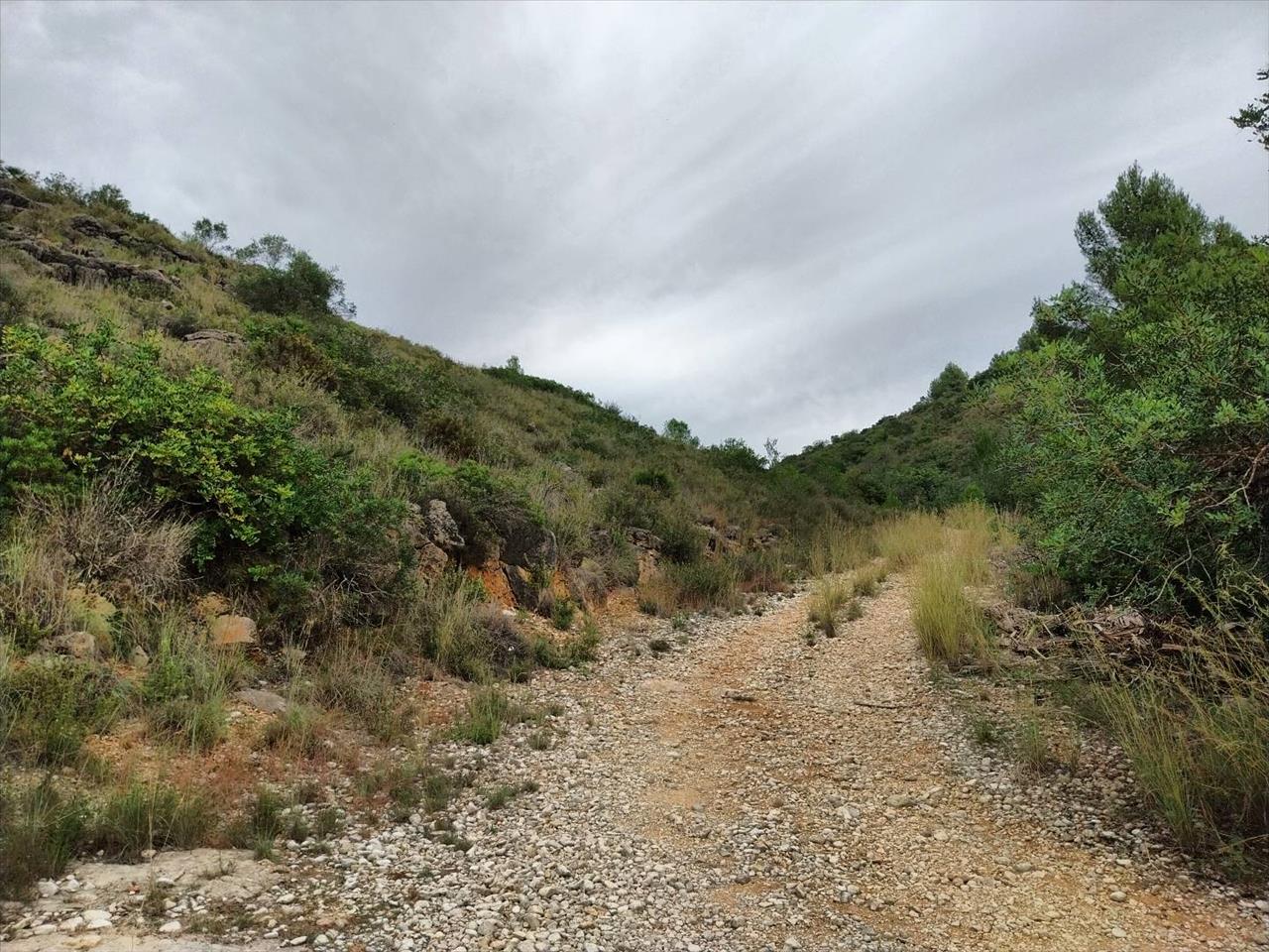 Terreno localizado na localidade de Ràfol d'Almúnia - Image 11
