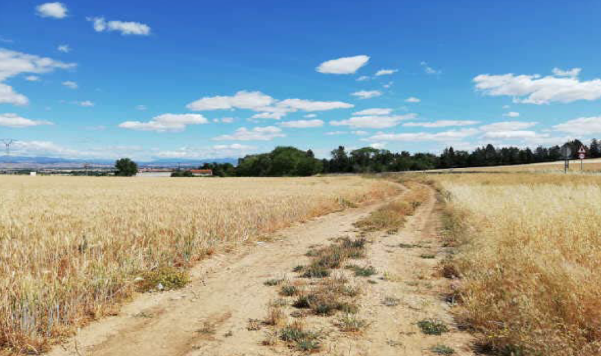 Suelo en Algete, Madrid