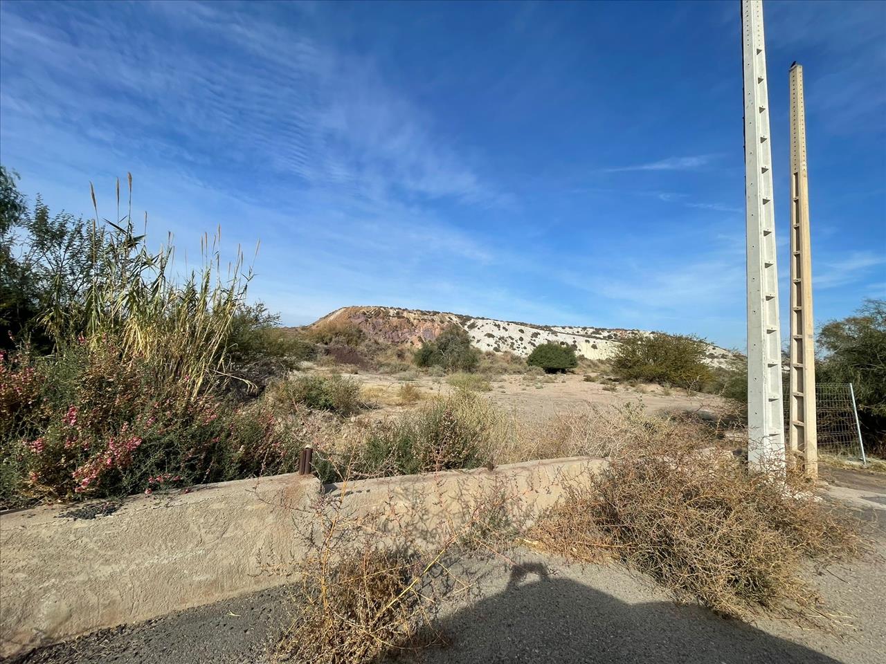 Image2