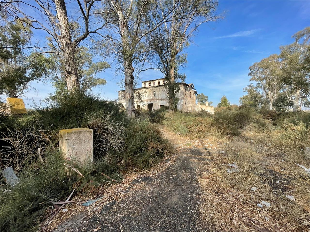 Image4