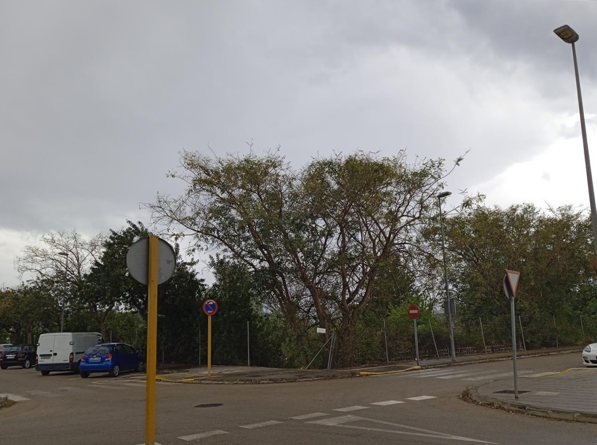 Calle En Proyecto y Calle Sebastiá Hernández, Carcaixent