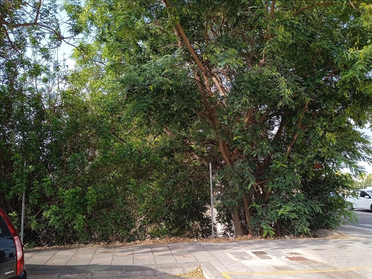 Moradia nova com cave, terraços e jardim – Carcaixent - Image 11